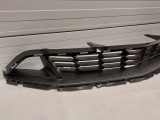 Lower Grille